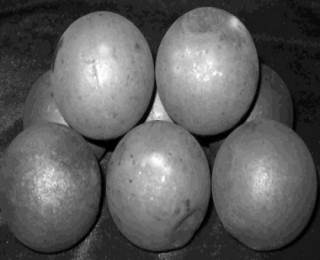 ��ĥ���ϸ��t������r��B